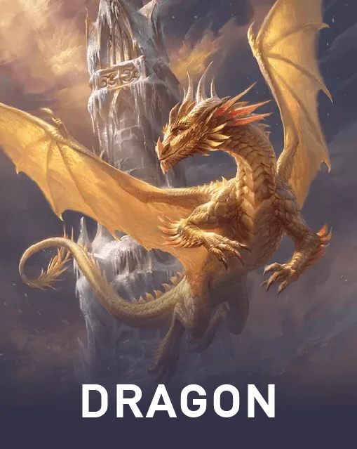 dragon-33.webp